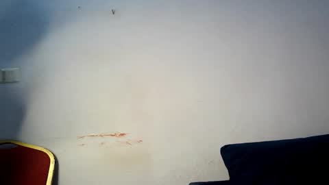 evelyn online show from 03/01/26, 06:04