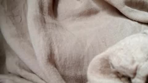 prettyrose01 online show from 07/14/26, 10:48