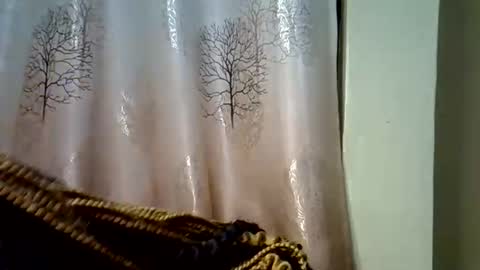 prettyshasha_ online show from 09/20/25, 04:19