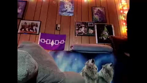 prettysolid7 online show from 02/09/26, 10:52