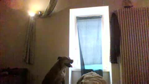 BBW facial slave online show from 01/08/26, 12:40