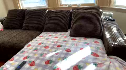 Princess Arii online show from 12/05/25, 07:43