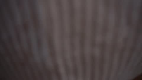 Snapshot of princessasiana chatting on 02/09/25, 11:14 Assi Incognito girl online show from 02/09/25, 11:14