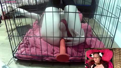 PrIncessJulia0X online show from 02/03/26, 02:10