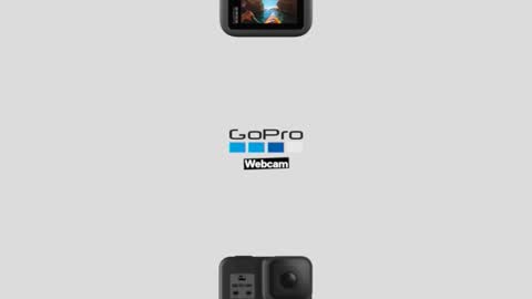 prittinho online show from 04/16/26, 09:10