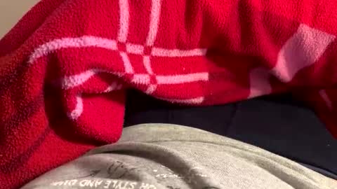 privat2025 online show from 02/01/26, 08:29