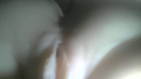 needtocum online show from 02/03/26, 12:42