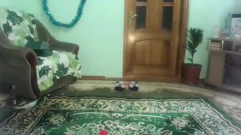 proud sweet 21 online show from 01/03/25, 09:47