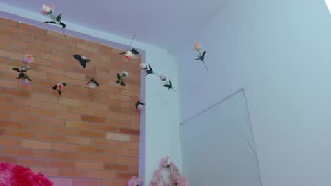 Snapshot of provincute chatting on 06/11/26, 04:32 Adris Juan online show from 06/11/26, 04:32