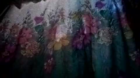 prvive2025 online show from 10/05/25, 07:34