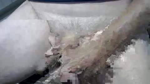 Snapshot of psfunman chatting on 02/13/25, 06:05 psfunman online show from 02/13/25, 06:05