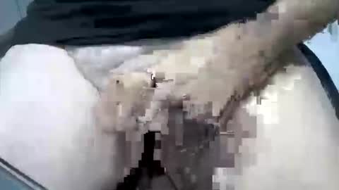 Snapshot of psfunman chatting on 02/16/25, 05:48 psfunman online show from 02/16/25, 05:48