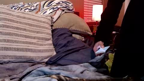 Sk8wave online show from 02/10/26, 07:56