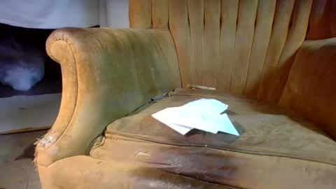 pspee313 online show from 02/28/26, 02:40