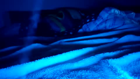 Snapshot of ptut82 chatting on 02/15/26, 09:41 ptut82 online show from 02/15/26, 09:41