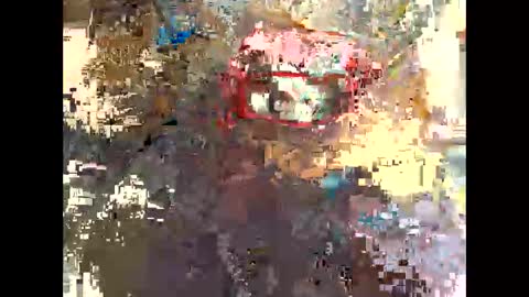 publicexhibto online show from 11/20/25, 03:23