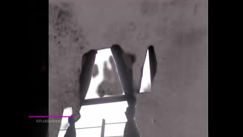 Snapshot of puddled_wonderland chatting on 01/06/25, 01:52 puddled_wonderland online show from 01/06/25, 01:52