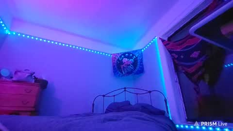 Snapshot of puddled_wonderland chatting on 01/29/25, 05:40 puddled_wonderland online show from 01/29/25, 05:40