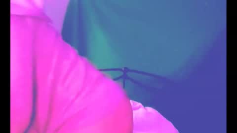 Snapshot of puddled_wonderland chatting on 03/06/26, 11:39 puddled_wonderland online show from 03/06/26, 11:39