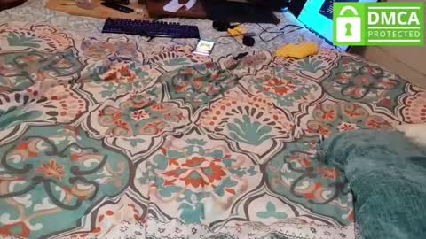 LOVE TO GET MY ASS FUCKED online show from 03/09/26, 05:22