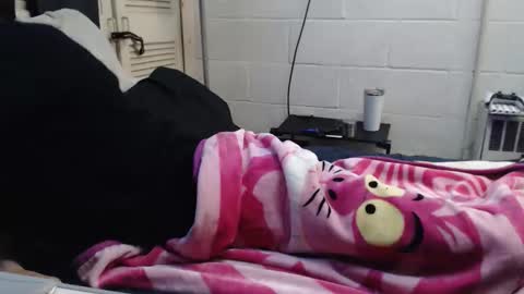 Snapshot of puff0169 chatting on 03/15/26, 03:56 puff0169 online show from 03/15/26, 03:56