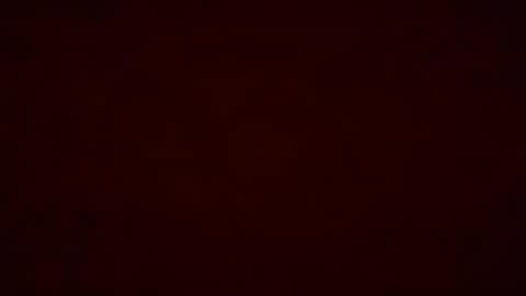 Pumpkin bunny online show from 12/19/25, 12:28