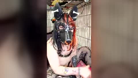 Pup Maxie HeHim online show from 07/31/26, 06:29