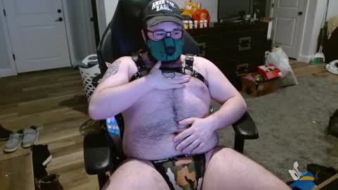 Maine Bear Cub online show from 02/11/25, 04:33
