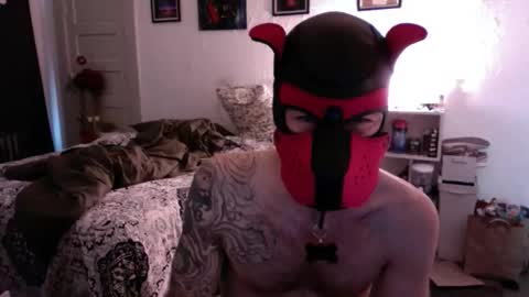 pupsuede online show from 03/15/26, 07:20
