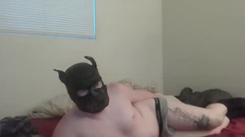 puptav online show from 03/05/26, 01:01