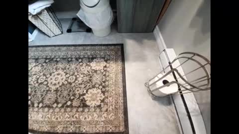 Snapshot of purdyguy7777 chatting on 12/29/24, 05:12 purdyguy7777 online show from 12/29/24, 05:12