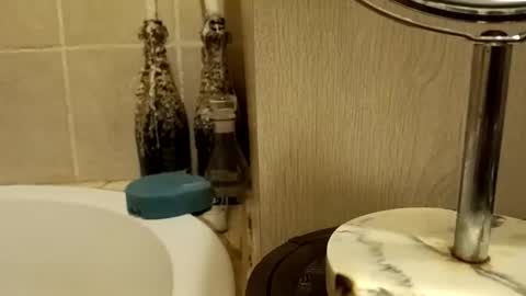 purecharismacpl online show from 02/20/26, 10:21