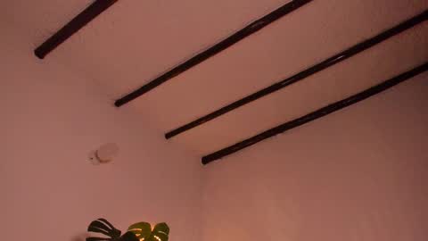 Vero online from Tuesday to Sunday online show from 02/09/25, 10:11