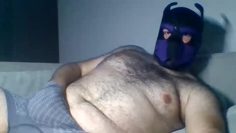 Snapshot of purple_pup_bear chatting on 08/06/26, 09:39 purple_pup_bear online show from 08/06/26, 09:39
