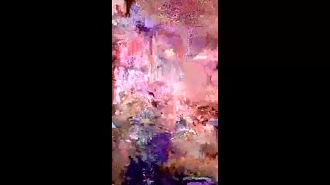 pussycat1331 online show from 04/22/26, 07:44