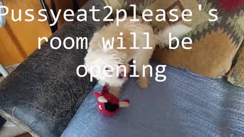 Rick online show from 03/09/25, 06:43