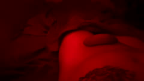 Pussylicker online show from 03/30/26, 07:04