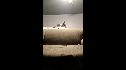 pussylicker517038 online show from 04/29/26, 02:37