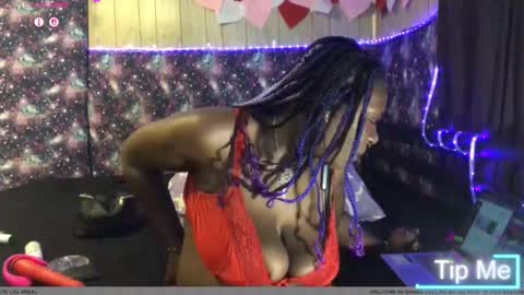 qnibee online show from 09/17/25, 05:09