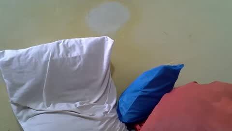 Gentrix online show from 02/23/26, 11:51