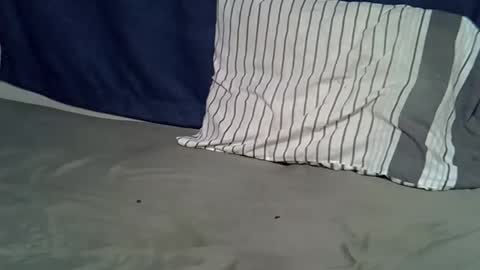 queen_polite online show from 02/22/26, 08:02