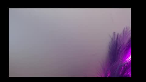 Snapshot of queen_rosee_ chatting on 02/05/26, 12:59 Queen Rosee online show from 02/05/26, 12:59