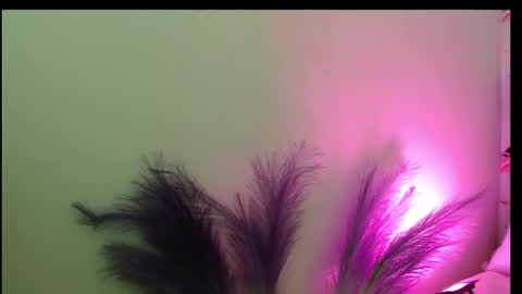 Snapshot of queen_rosee_ chatting on 02/25/26, 08:07 Queen Rosee online show from 02/25/26, 08:07