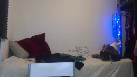 Nico online show from 01/05/25, 12:52