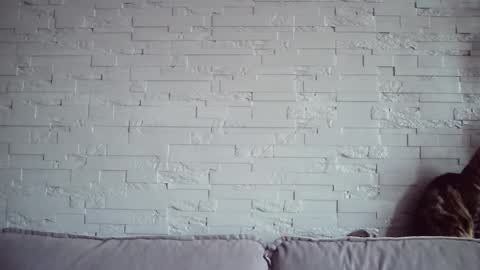 QueenOfModels online show from 11/17/25, 06:08