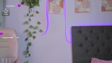    online show from 02/20/26, 08:53