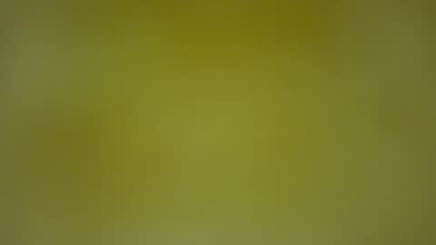 quinnxx online show from 02/08/26, 05:33