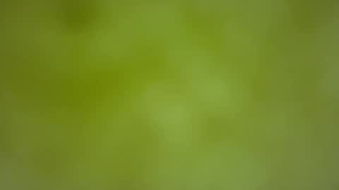 quinnxx online show from 02/22/26, 06:35