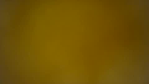 quinnxx online show from 02/26/26, 07:51