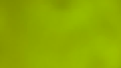 quinnxx online show from 03/09/26, 06:28